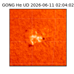 gong - 2026-06-11T02:04:02