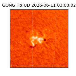 gong - 2026-06-11T03:00:02