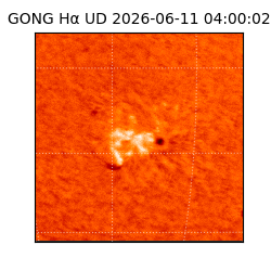 gong - 2026-06-11T04:00:02