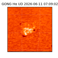gong - 2026-06-11T07:09:02