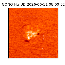 gong - 2026-06-11T08:00:02
