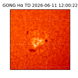 gong - 2026-06-11T12:00:22