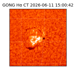 gong - 2026-06-11T15:00:42