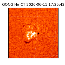 gong - 2026-06-11T17:25:42
