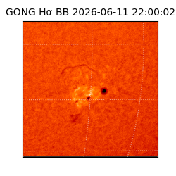gong - 2026-06-11T22:00:02