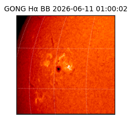 gong - 2026-06-11T01:00:02