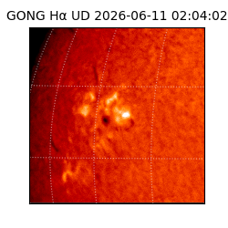gong - 2026-06-11T02:04:02