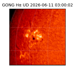 gong - 2026-06-11T03:00:02