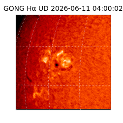 gong - 2026-06-11T04:00:02