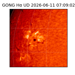 gong - 2026-06-11T07:09:02