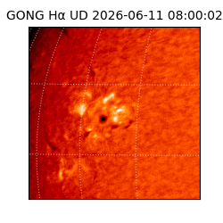 gong - 2026-06-11T08:00:02