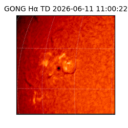 gong - 2026-06-11T11:00:22