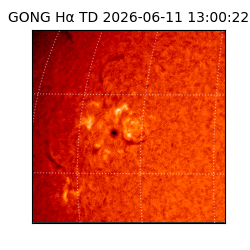 gong - 2026-06-11T13:00:22