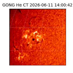 gong - 2026-06-11T14:00:42