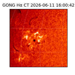gong - 2026-06-11T16:00:42