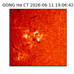 gong - 2026-06-11T19:06:42