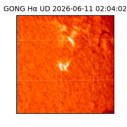 gong - 2026-06-11T02:04:02