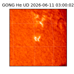 gong - 2026-06-11T03:00:02