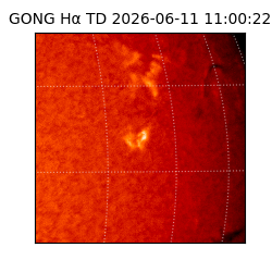gong - 2026-06-11T11:00:22