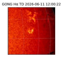 gong - 2026-06-11T12:00:22