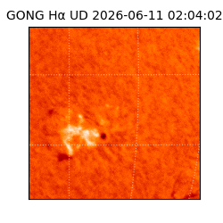 gong - 2026-06-11T02:04:02