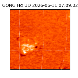 gong - 2026-06-11T07:09:02
