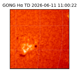 gong - 2026-06-11T11:00:22