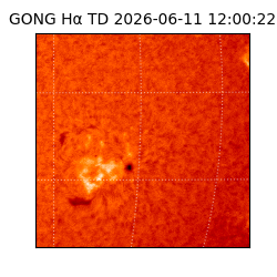 gong - 2026-06-11T12:00:22