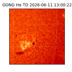 gong - 2026-06-11T13:00:22
