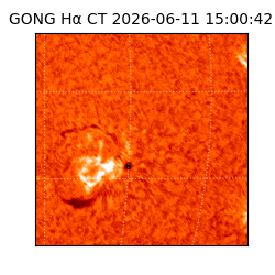 gong - 2026-06-11T15:00:42