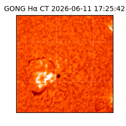 gong - 2026-06-11T17:25:42