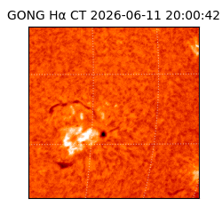 gong - 2026-06-11T20:00:42