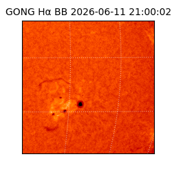 gong - 2026-06-11T21:00:02