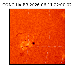 gong - 2026-06-11T22:00:02