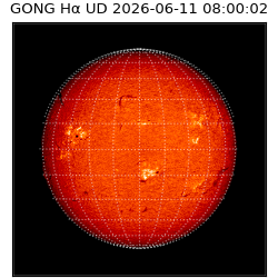 gong - 2026-06-11T08:00:02