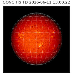 gong - 2026-06-11T13:00:22
