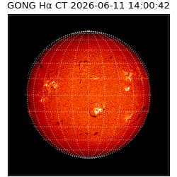 gong - 2026-06-11T14:00:42