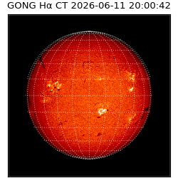 gong - 2026-06-11T20:00:42