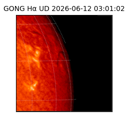 gong - 2026-06-12T03:01:02