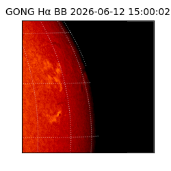 gong - 2026-06-12T15:00:02