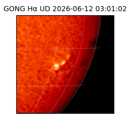 gong - 2026-06-12T03:01:02