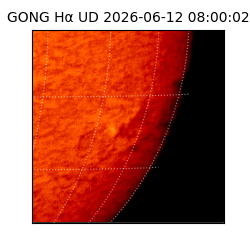 gong - 2026-06-12T08:00:02