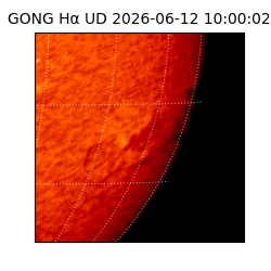 gong - 2026-06-12T10:00:02