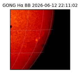 gong - 2026-06-12T22:11:02