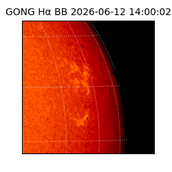 gong - 2026-06-12T14:00:02