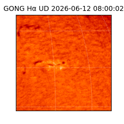 gong - 2026-06-12T08:00:02