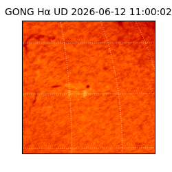 gong - 2026-06-12T11:00:02