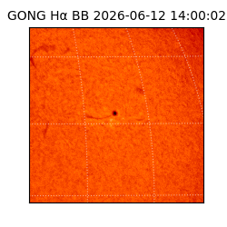 gong - 2026-06-12T14:00:02