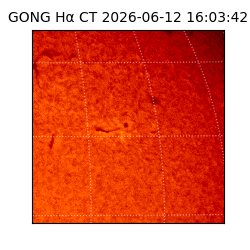 gong - 2026-06-12T16:03:42