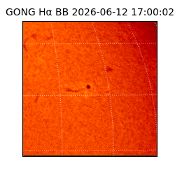 gong - 2026-06-12T17:00:02